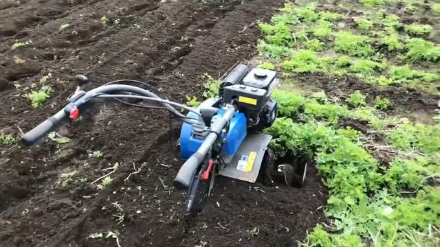 Мотоблок MasterYard 6,5 смотреть онлайн