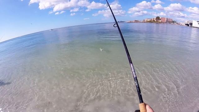 Рыбалка во Флориде. Скумбрия, камбала и крокодил. Часть первая. смотреть онлайн