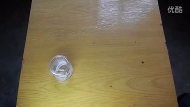手把手教你制作吸水懒人盆栽~养花必备技能！