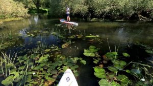 Сплав на SUP по Северке от Мещерино до Шкини 31082024