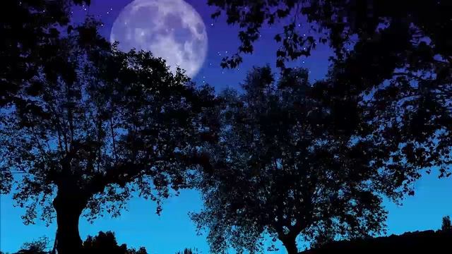 Звуки ночного леса и расслабляющая музыка для снятия стресса, релакс Relax смотреть онлайн