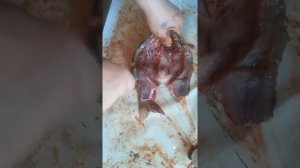 Солю карася бабочкой.