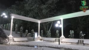 Зима "Курортный парк"