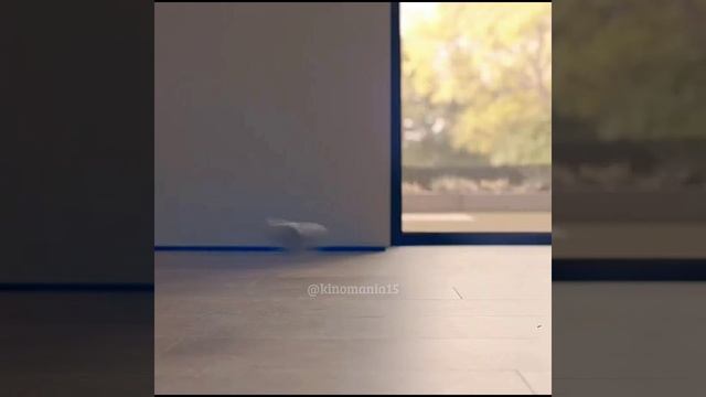 Человек против пчелы ? смотреть онлайн