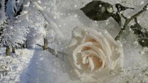 За окном моим снова снег...Музыка Сергей Чекалин!