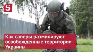 Как саперы разминируют освобожденные территории Украины