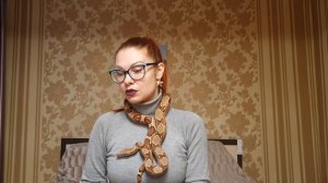Содержание змеи дома