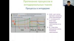 Современная психосоматика. Правила для ЭНТОДЕРМЫ 3