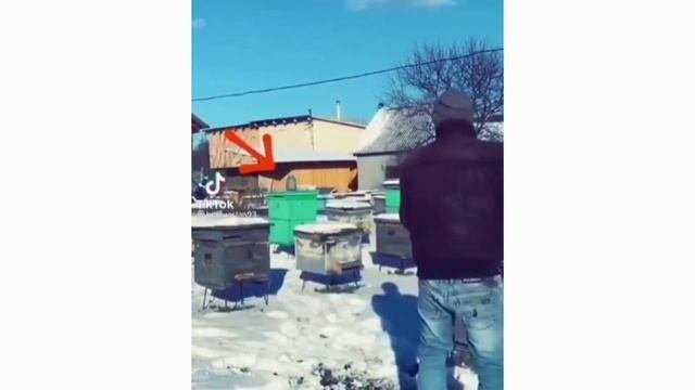 Попробуй не засмеяться №1