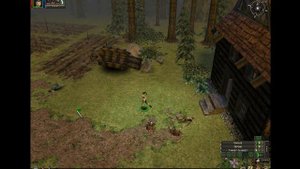 Dungeon Siege 1 часть