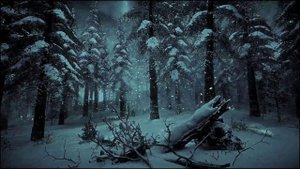 Зимний морозный ветер в заснеженном лесу, где слышны звуки ветра и вьюги для крепкого сна
