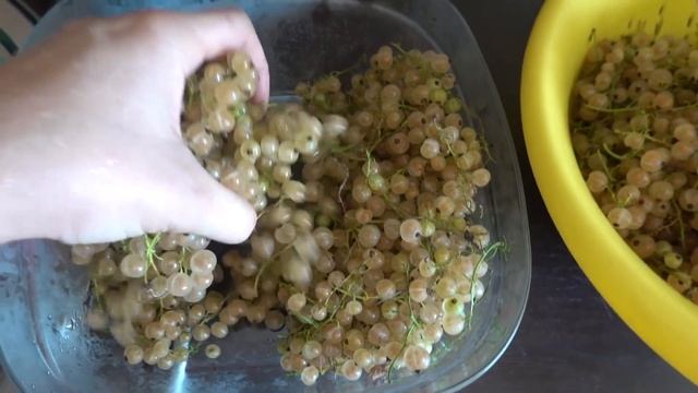 VLOG Что мы купили с собой на пляж смотреть онлайн