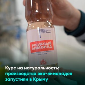 Курс на натуральность: производство эко-лимонадов запустили в Крыму