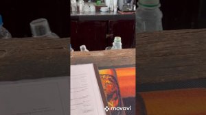 Coral Sands Hotel/Хиккадува/Шри -Ланка/февраль 2023/отпуск/