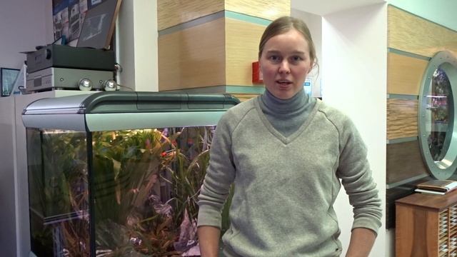 Чёрные #макроподы смотреть онлайн