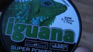леска игуана/iguana-0.1