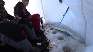 Сурское водохранилище. Глухозимье рыбалка какая она есть.