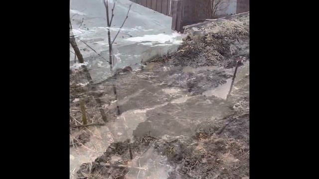 Осушили болото на участке в СПб / дренаж #дача #каркасныйдом #дачныйвлог #строительство #ландшафт