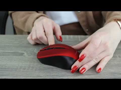 Компьютерные мыши Sonnen