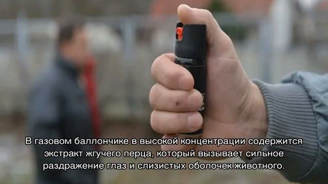 Перцовый баллончик от собак: какой лучше смотреть онлайн
