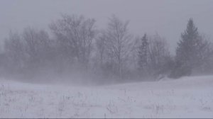 Шум вьюги для сна