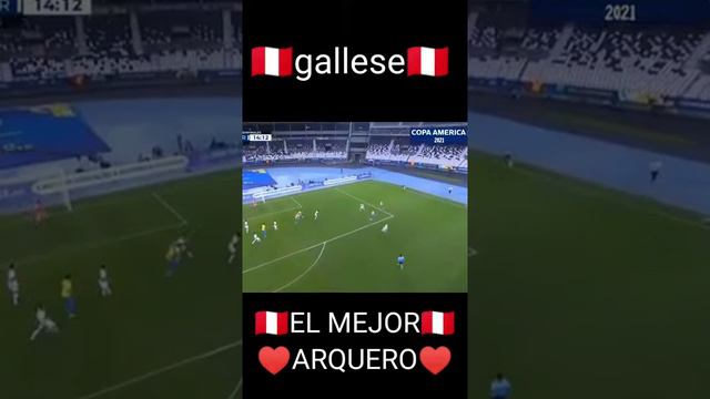 mi favorito en el fútbol es pedro gallese