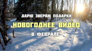 Дарю зверям подарки. Новогоднее видео в феврале.