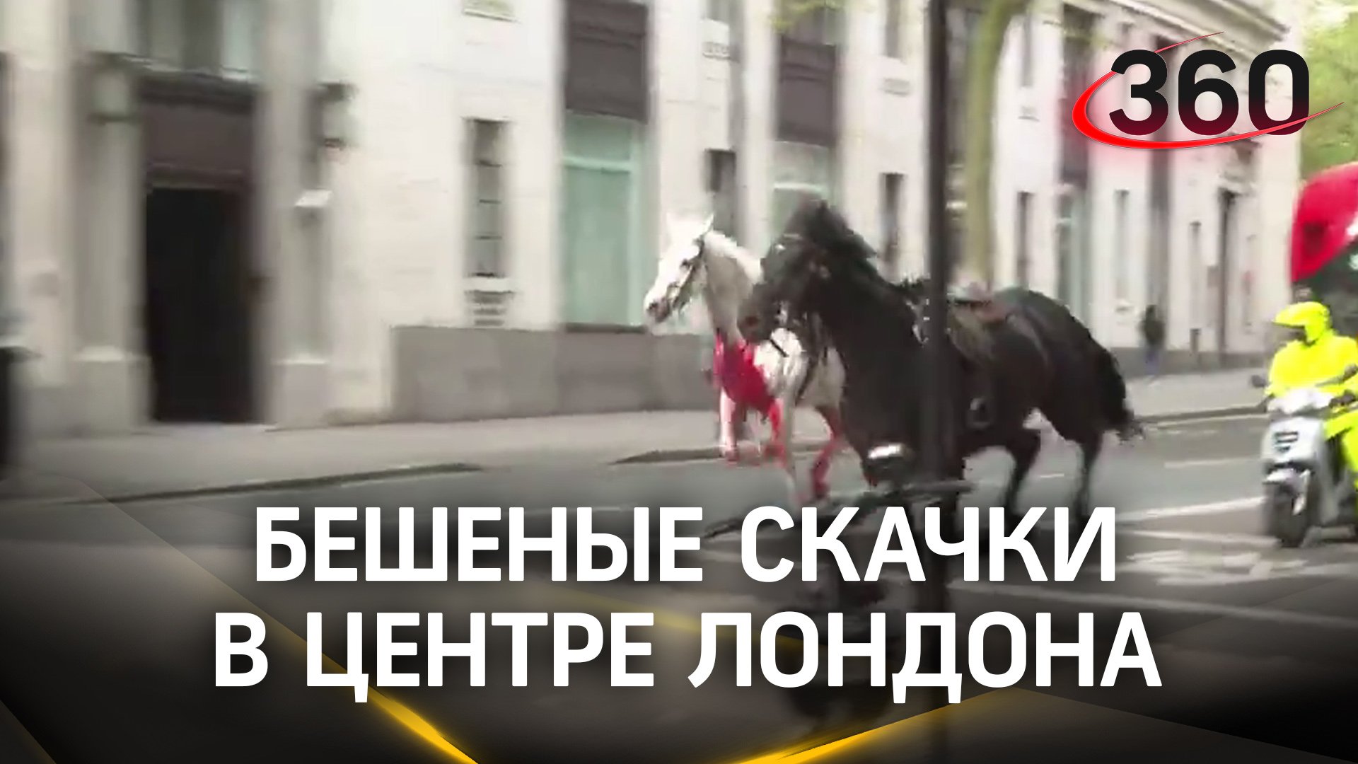 Бешеные скачки: кони таранили людей, автобусы и здания в Лондоне