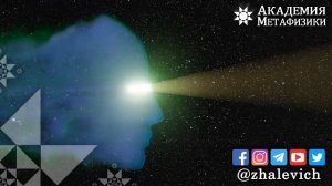 Что такое Инсайт? В чём истинный смысл понятия Инсайт?