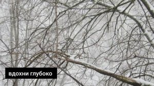 Целительный суп для души или что делать если устал