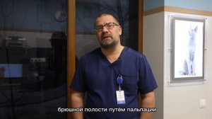 Что происходит на приеме онколога