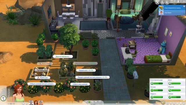 Зачем я занялся ВУХУ ► Sims 4 # 13 смотреть онлайн