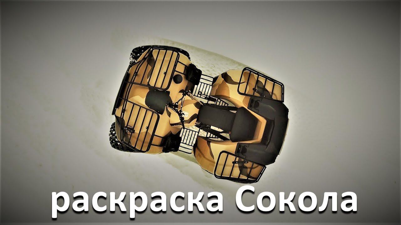 варианты покраски сокола смотреть онлайн