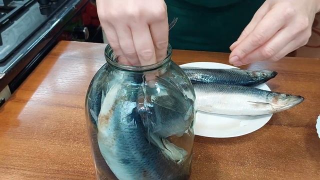 Малосольная селёдка в банке!