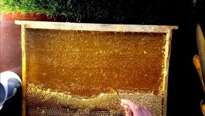 Как лучше кушать Мёд!