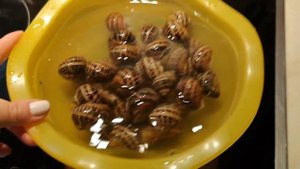 От улитки с гор - до вкуснейшего деликатеса | Рецепт приготовления виноградных улиток | Крит, Греци