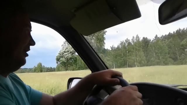 Медоносы на лесной