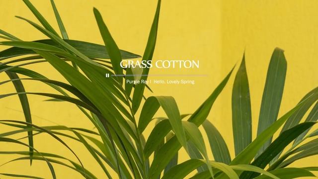 Красивая фортепианная музыка. Инструментальная нежная, успокаивающая музыка для детей и взрослых. смотреть онлайн