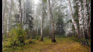 Ф М Достоевский Братья Карамазовы часть 6 АУДИОКНИГА