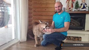 Прямой эфир предновогодний.