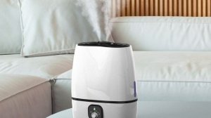 Best Humidifiers 2024 [Don't Buy Until You WATCH This!]