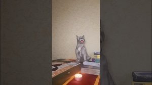 Прогноз на следующую неделю!??