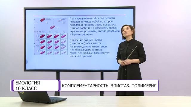 Биология. 10 класс. Комплиментарность. Эпистаз. Полимерия /22.02.2021/