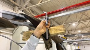 КРЕМЛЁВСКАЯ ТЕПЛИЦА. Какая КРЕПЧЕ?