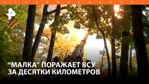 Расчеты САУ "Малка" поражают позиции ВСУ на дальности до 37 км / РЕН Новости