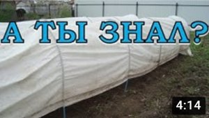 Парник своими руками 2016: пошаговая инструкция