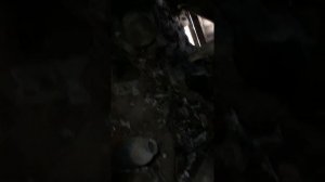 Коп и покупка монет в Одесской области, Килийский район🇺🇦