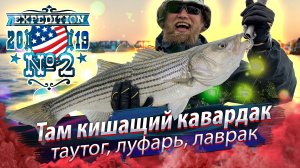 Когда под тобой КИШИТ рыба. Морская рыбалка в проливе Лонг-Айленд, устье Коннектикут, США.