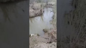 Микро речка ловля Ельца на поплавочную удочку