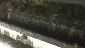 Утилизация навоза- Вальцовый сепаратор